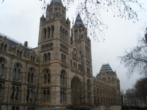The Natural History Museum, an imposing 19th Century building & collection